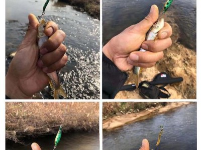 溪流钓鱼的最佳饵料选择（路亚饵料在溪流钓鱼中的应用及技巧）