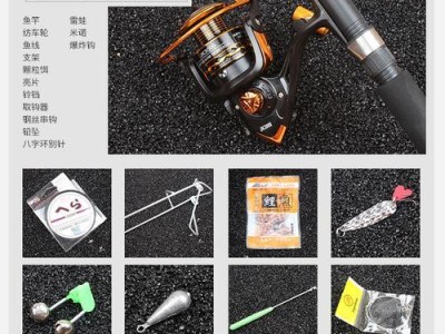 探究以海钓竿为什么不能路亚钓鱼的原因（分析海钓竿与路亚钓法的差异以及影响）