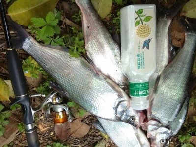 路亚钓鱼技巧——选择适合的饵料提升钓获率（以路亚冷水水库钓鱼为例，探究最佳饵料的选择策略）