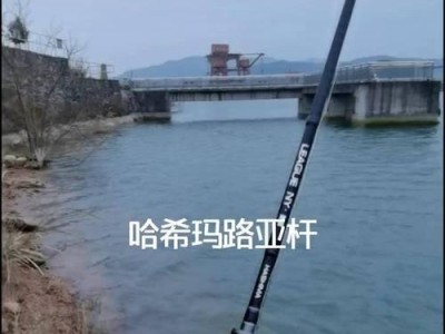 钓鱼的乐曲，探寻渔人之旅（在音符中感受自然的低吟，琴弦上演的水中漂流）