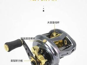 不钓鱼时路亚竿渔轮的妥善存放方式（保护你的路亚竿渔轮，延长其使用寿命）
