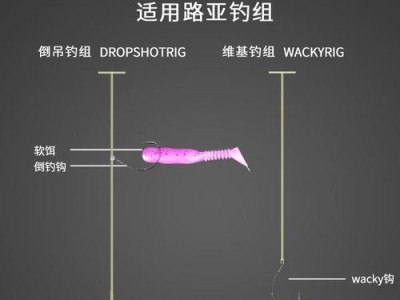 路亚竿的饵料挂法技巧（掌握正确的饵料挂法，提升钓鱼成功率）