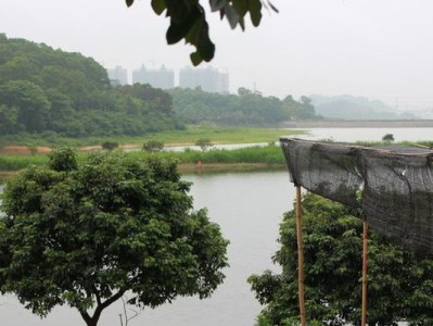 南岗路亚钓鱼场周边景点一览（探索南岗路亚钓鱼场附近的丰富旅游资源）