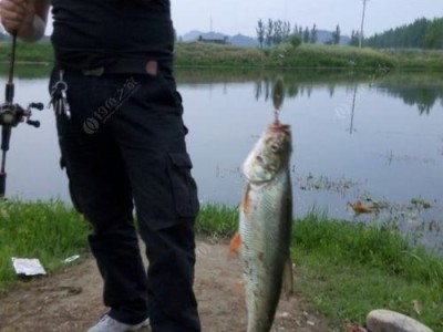 现在也能享受路亚的乐趣吗？（探索无钓鱼限制下的路亚娱乐世界）
