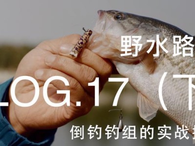 午三点适合路亚钓鱼吗？（探索午三点路亚钓鱼的优势和挑战）