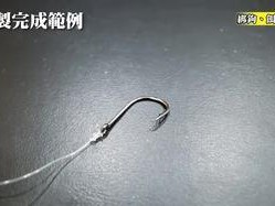 以手竿能用路亚饵钓鱼吗？（探讨手竿钓鱼的效果及技巧）