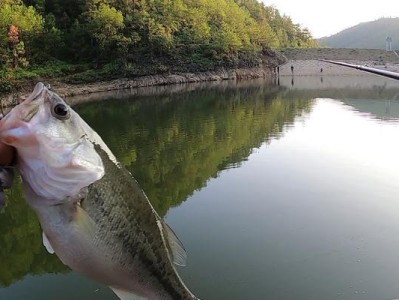 上海市路亚黑坑钓鱼地点推荐（探寻上海城区最佳路亚黑坑钓鱼点）