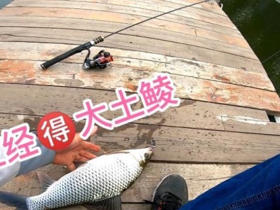 新手用路亚竿钓鱼技巧（提升钓鱼技术，从路亚竿开始）