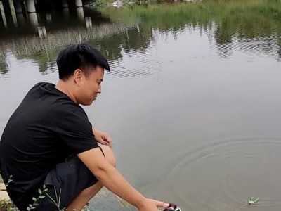 用鱼鳔钓鱼玩路亚的技巧与乐趣（探索鱼鳔钓鱼玩路亚的新领域）