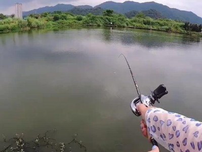 路亚钓鱼技巧与装备（掌握路亚钓鱼必备的技巧和装备，提升钓鱼的成功率）