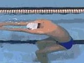 解放碑美女游泳换气技巧（掌握正确的换气技巧，让游泳更加畅快）