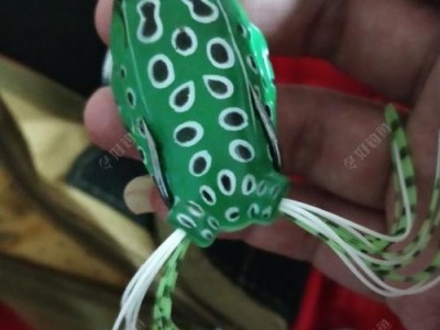 探秘路亚竿挂真饵钓鱼的技巧与要点（提升钓鱼效果，让真饵发挥最大的吸引力）