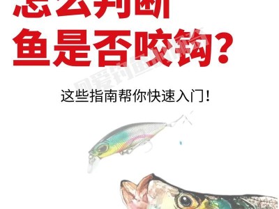 解析以路亚钓鱼标志的重要性（以路亚钓鱼标志的作用及设计）