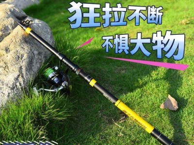 探秘日本路亚海钓远投杆钓鱼杆的魅力（日本路亚海钓远投杆）