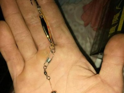 探秘路亚钓法的绑钩技巧（钓鱼竿技巧大揭秘，让你成为路亚高手！）