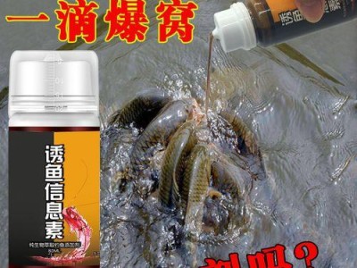 突破鱼群犹如一簇小太阳——探秘路亚钓鱼的饵料和添加剂的奥秘（打破传统，让路亚钓鱼更加出色闪耀）