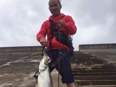 探秘以零河水库的路亚钓鱼攻略（零河水库路亚钓鱼技巧与心得，助你迅速成为钓鱼高手！）