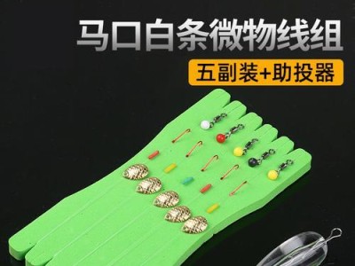 如何正确装配路亚钓鱼线及其他装备（掌握关键步骤，提升钓鱼成功率）