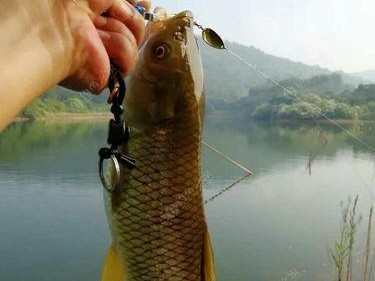 大降温当天路亚钓鱼攻略（挑战恶劣天气，尽享路亚钓鱼的乐趣）