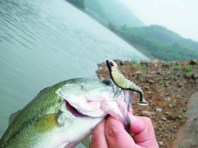 路亚钓鱼技巧之刺鱼攻略（掌握刺鱼技巧，提升路亚钓鱼效果）