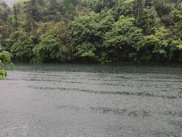 雨天路亚钓鱼的技巧与经验分享（挑战恶劣天气，享受路亚钓鱼乐趣）