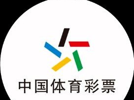 探秘足球分析技巧（提升足球分析能力的关键方法与技巧）