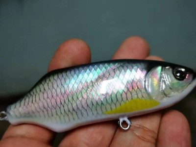 江河钓鱼的最佳路亚鱼饵选择（探寻江河钓鱼的不二之选，为您提供更好的钓鱼体验）