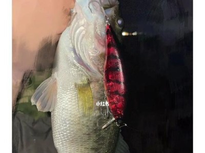 探秘钓鱼星球（钓鱼技巧、装备选择与心态调整，助你成为路亚大师）