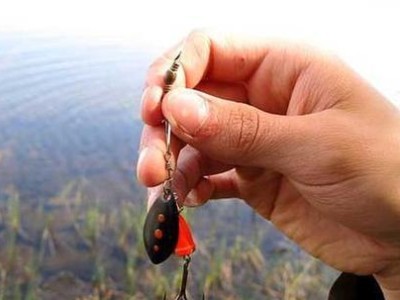 探秘路亚钓鱼绑线加浮漂全套方法（实用技巧帮助你成为路亚钓鱼高手）