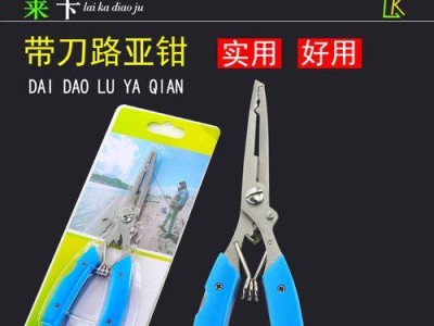 如何选择适合路亚钓鱼的工具？（探究路亚钓鱼的必备装备和关键因素）