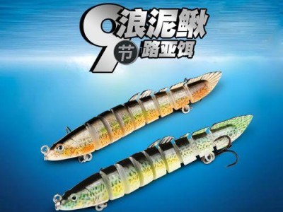 路亚钓鱼（揭秘泥鳅钓翘嘴技巧与经验）