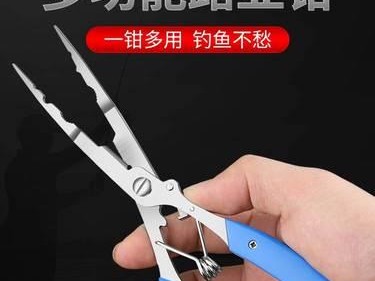 路亚钓鱼必备装备指南（探索高效捕鱼技巧和工具，提升钓鱼成功率）