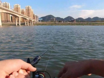 江边钓鱼之路亚与海竿，究竟哪个更适合？（探究江边钓鱼的最佳工具选择，路亚和海竿的优缺点对比分析）
