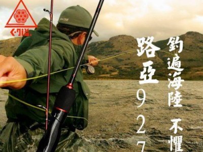 如何通过选择适合的路亚竿来提高钓鱼的大小（解析路亚竿的重要性及选择要点）