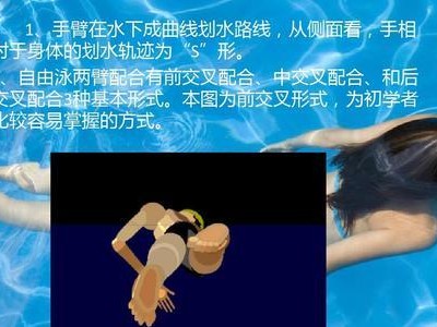 游泳自由下潜的技巧（掌握呼吸节奏，轻松下潜）