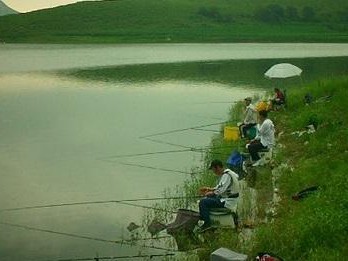 探秘路亚涨水钓鱼的钓点选择技巧（挖掘路亚涨水钓鱼的钓点宝藏，助力丰收）