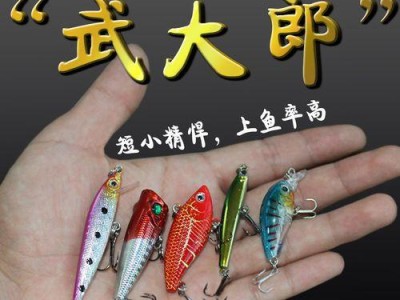 天气寒冷时使用的最佳路亚饵种类（选择正确的路亚饵，让你在冬季钓鱼更加成功）