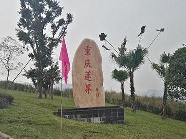 探寻合川草街钓鱼的路亚之道（发掘合川草街钓鱼的鱼类宝藏，路亚技巧尽在此！）
