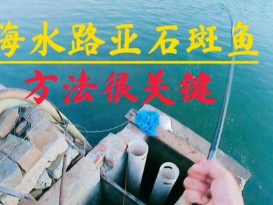 北风天的路亚钓鱼技巧与注意事项（挑战北风天的路亚钓鱼，提高钓鱼成功率）