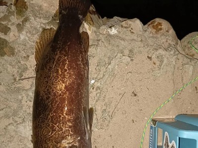 钓鱼新技巧（提高钓鱼成功率的关键技能与经验分享）