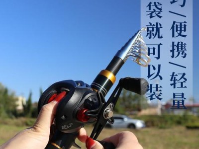 探索路亚海钓鱼竿的奢华世界（以路亚海钓鱼竿为代表的高端钓具市场的发展趋势与价值分析）