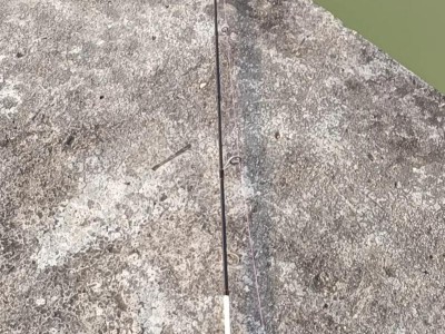 用50元的路亚竿钓鱼好吗？（探究性价比高的路亚竿选择和使用技巧）
