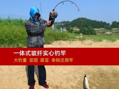以路亚竿可以做钓鱼竿吗？（探究以路亚竿在钓鱼中的多功能应用）