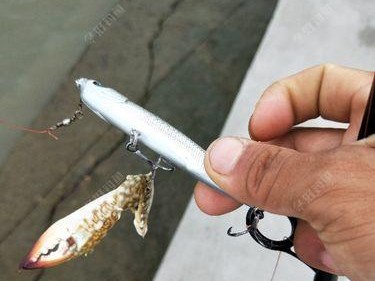 河流不适合用路亚钓鱼的原因（探索河流不适合用路亚钓鱼的关键因素及解决方案）
