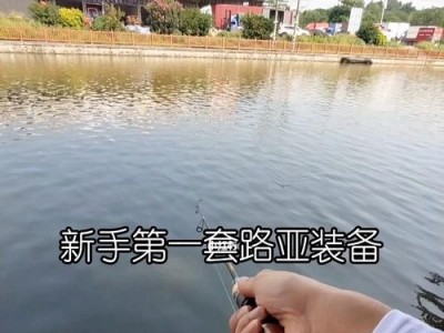 路亚钓鱼入门指南（快速掌握路亚技巧，成为钓鱼新手中的高手）