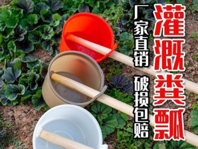 乒乓球舀水式接球（优化击球弧线和速度，培养反应力和手眼协调性）