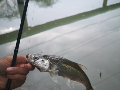 早晨钓鱼的最佳时间（探究早上几点打路亚的捕鱼奥秘）
