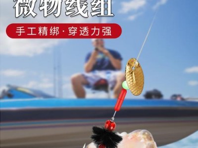 飞蝇钩在路亚钓鱼中的运用技巧（掌握飞蝇钩的使用，提升路亚钓鱼效果）