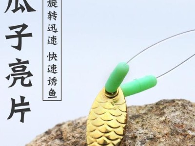 新手路亚钓鱼必须绑铅吗？（解析钓鱼新手是否需要绑铅的必要性）