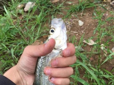探索以水深1米河能否做路亚钓鱼（深入探究水深条件下路亚钓鱼的可行性）